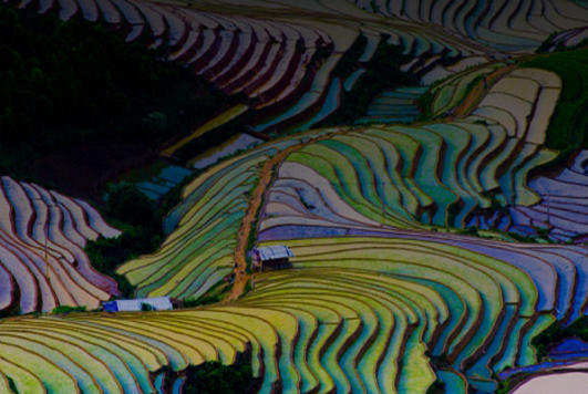 Registration and approval of regulations