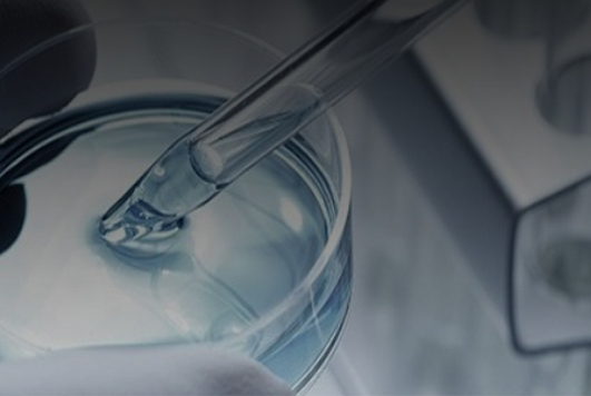 Third party audit and training