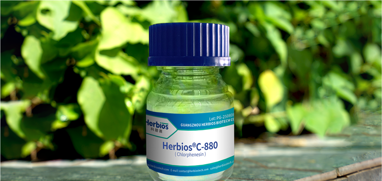 Water absorbing paper