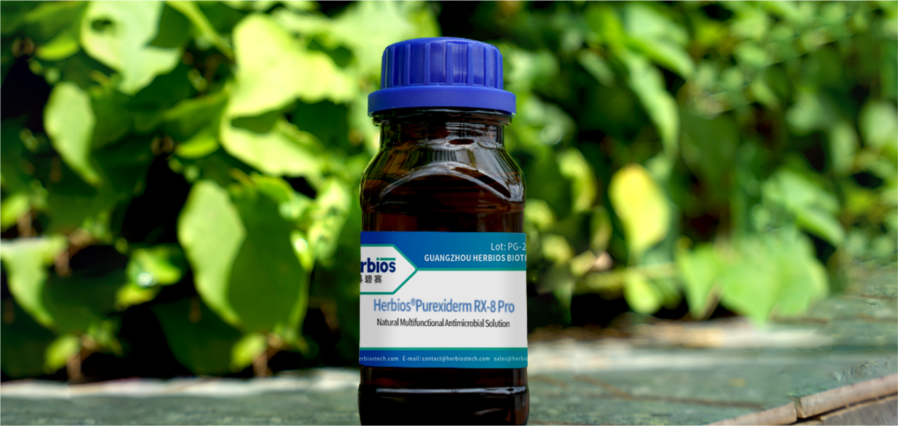 Water absorbing paper